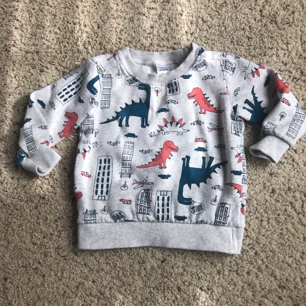 Dinosaur sweatshirt 2T